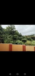 Turf Club Avenue (D25), Semi-Detached #577105201